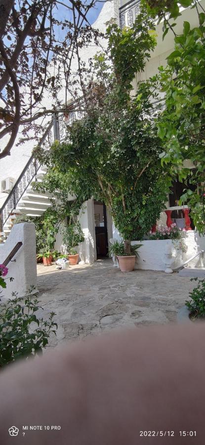 Odysseas Hotel Samos Kültér fotó