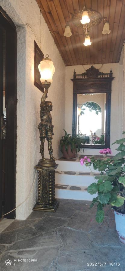 Odysseas Hotel Samos Kültér fotó